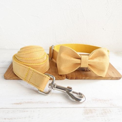Nala pet dog collar traction rope